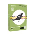 Bibbulmun Premium Copy Paper A4 80gsm White Carton 5 Reams