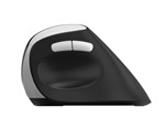 Rapoo EV250 Ergonomic Vertical Wireless Mouse