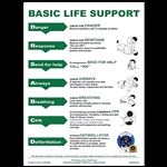 Aeroguide CPR Wall Chart 21 X 297cm