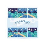 Zig Zag Economy Microfibre Lens Cloth