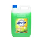 Dishwashing Liquid
