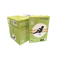 Copy Paper A4 80 gsm