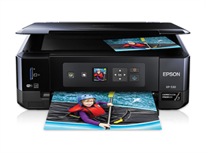 EPSON XP 530